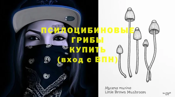 бошки Надым