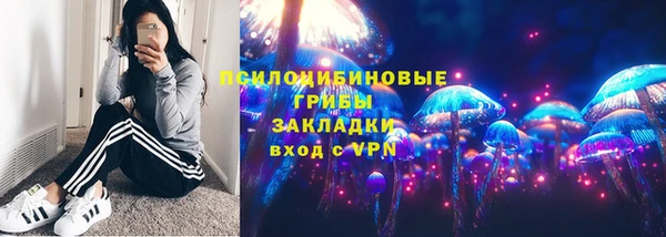 бошки Надым