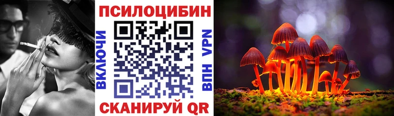 Галлюциногенные грибы Psilocybe  KRAKEN   Новороссийск 